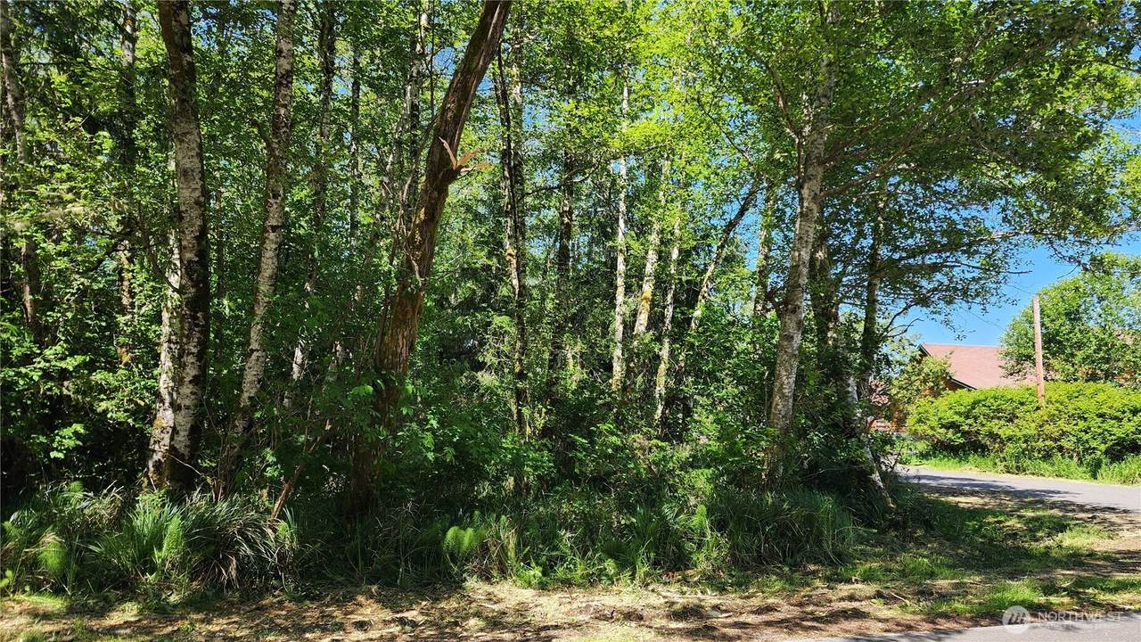 801 Duck Lake Drive - Photo 1