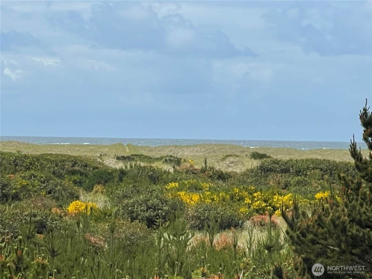 855 Sand Dune Avenue - Photo 1