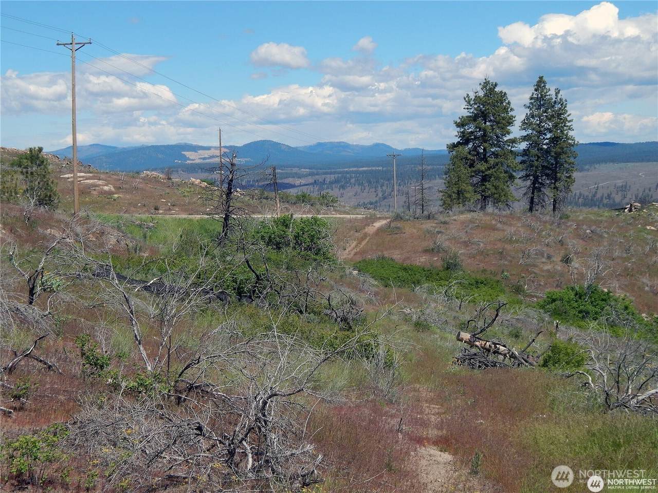 2 Hart Rd N - Photo 1