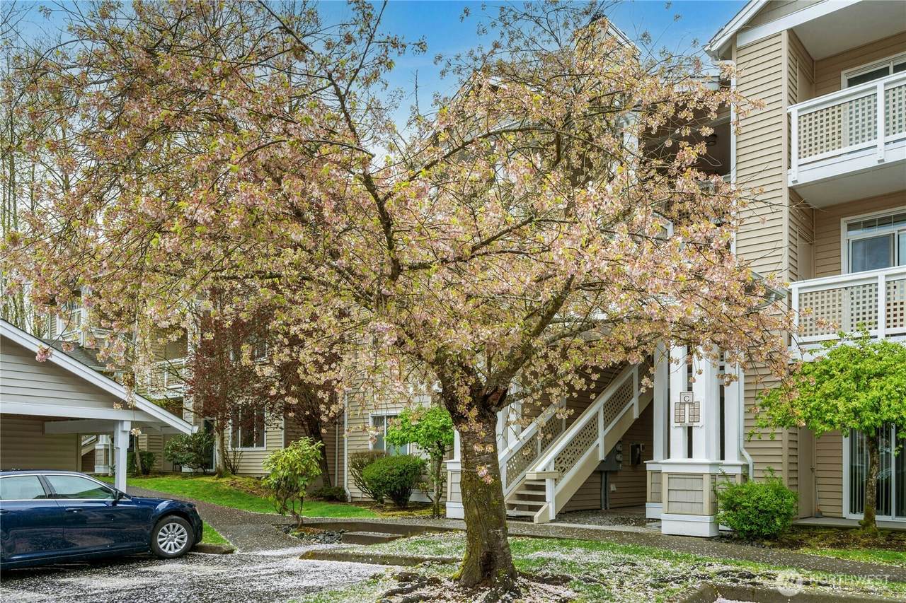 15300 112th Avenue - Photo 1
