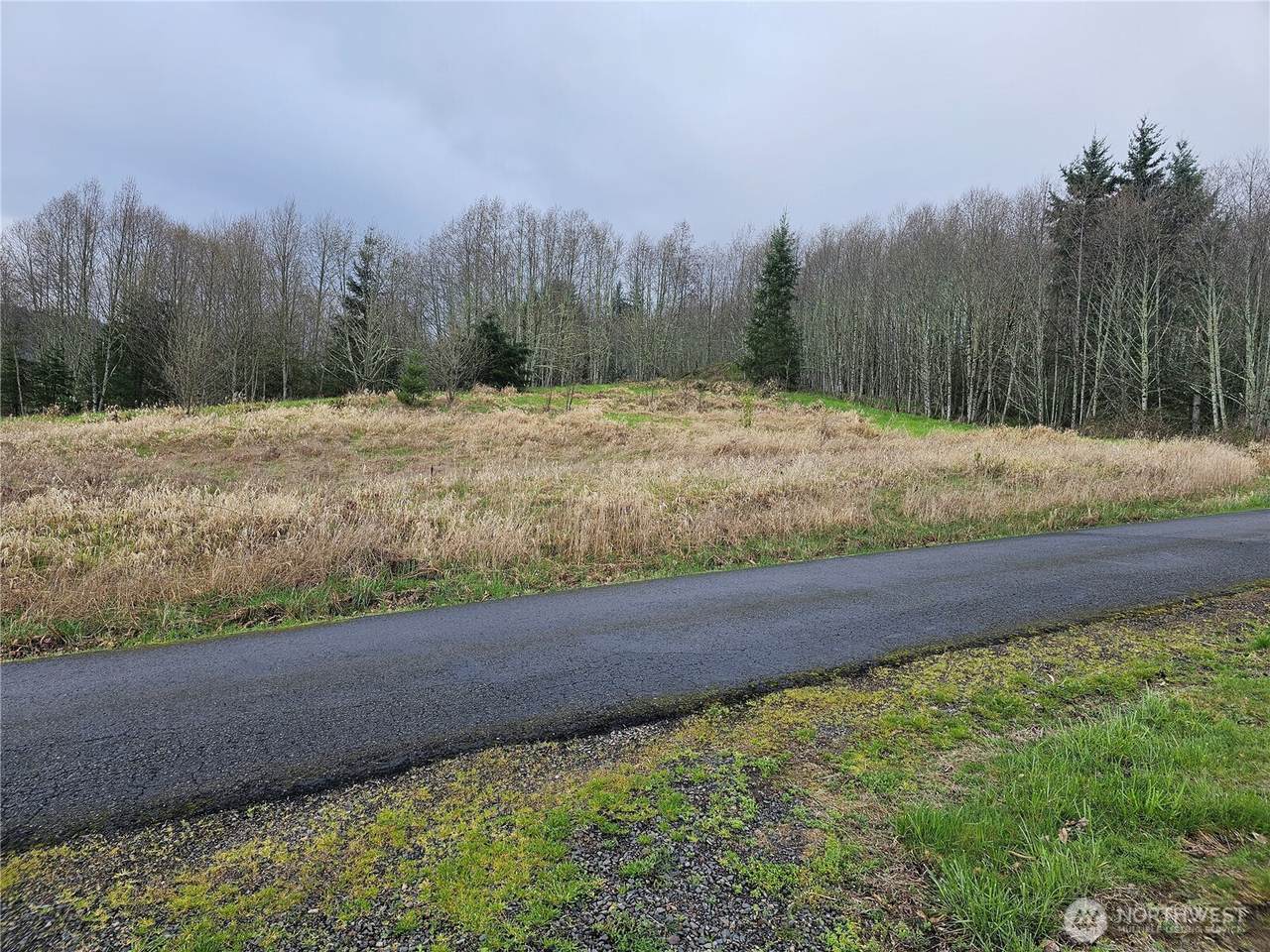 0 Elk Ridge Road - Photo 1
