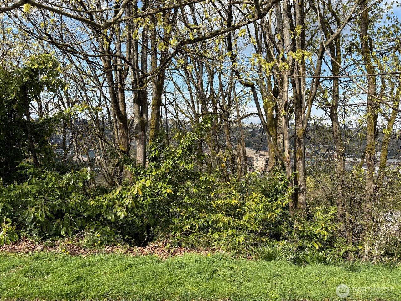 38 XX 21st Avenue - Photo 1