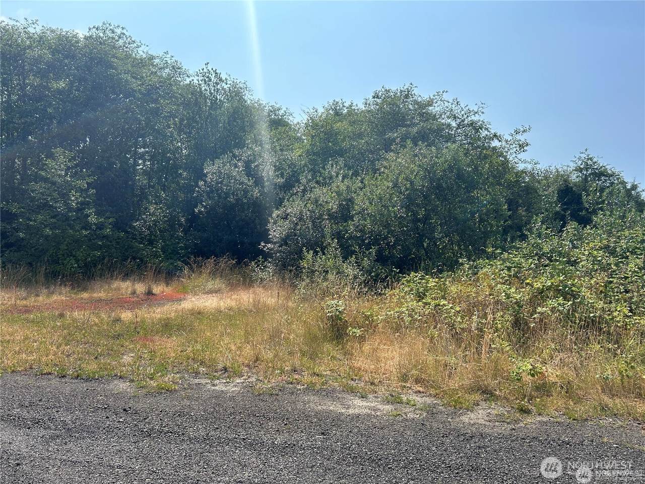 0 Xxx Hwy 101 - Photo 1