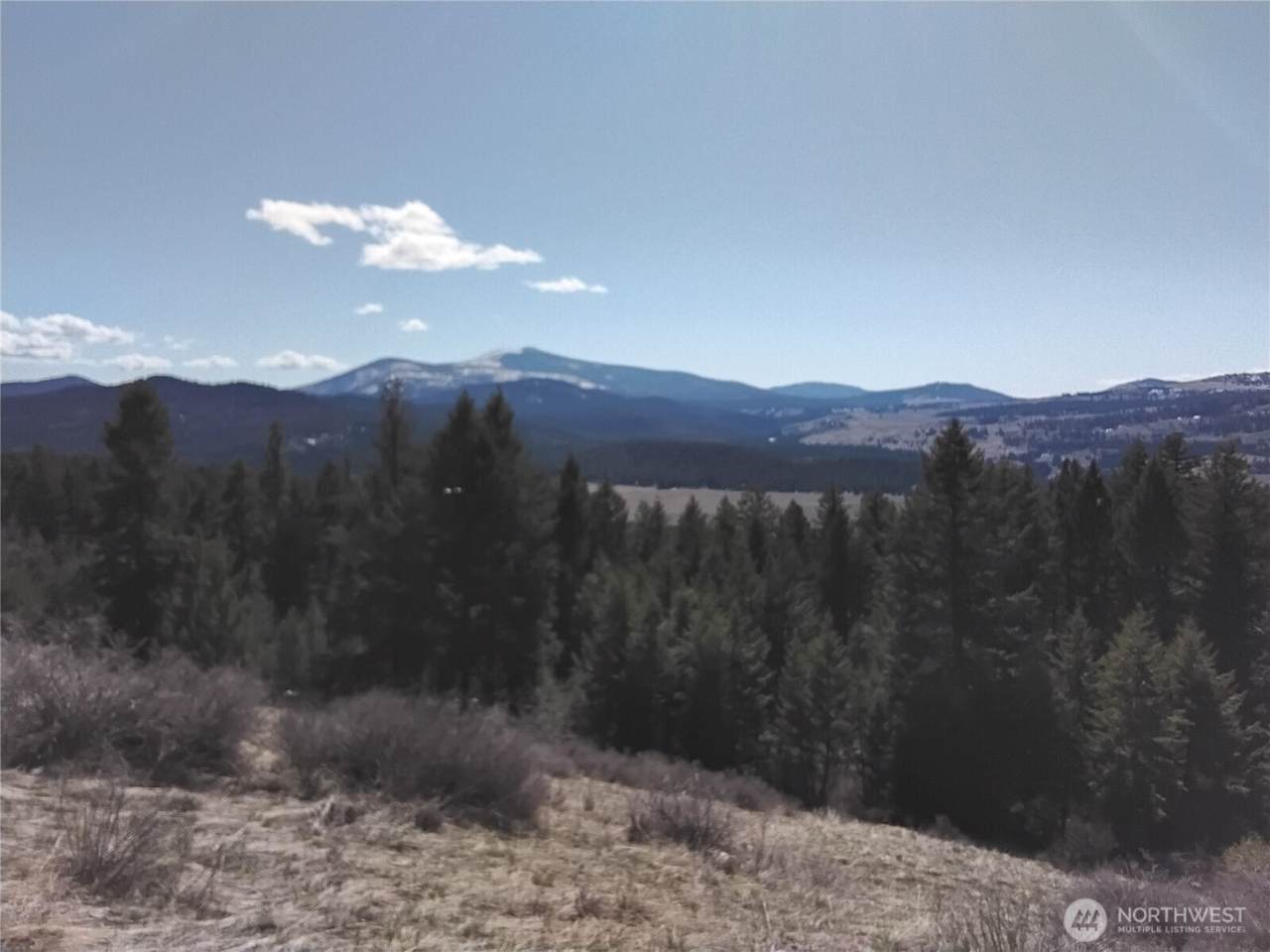 26 Mule Deer Ridge Road - Photo 1