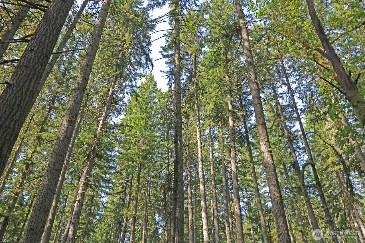 https://bt-photos.global.ssl.fastly.net/nwmls/1280_boomver_1_2359594-1.jpg