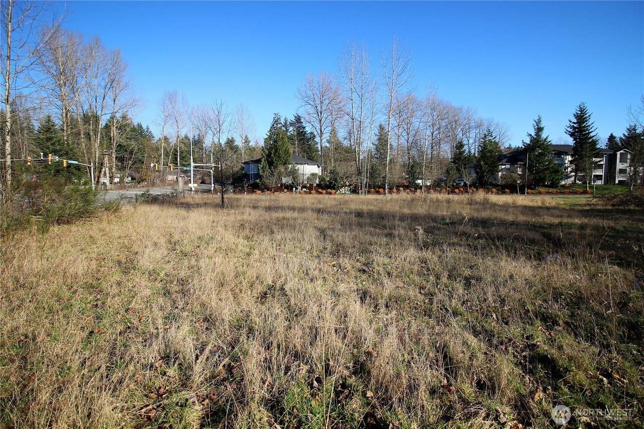 13419 Petrovitsky Road - Photo 1