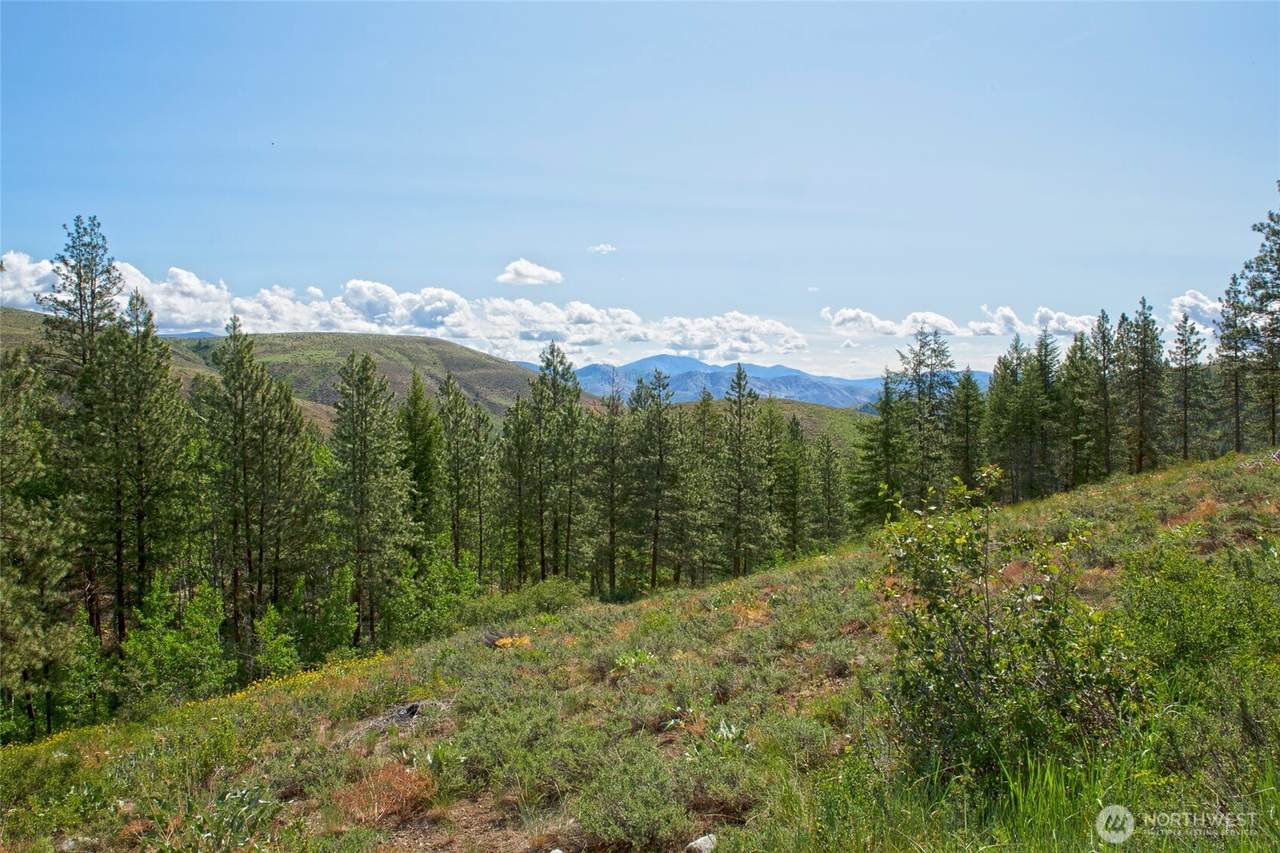 0 Lot 70 Whitebark Lane - Photo 1