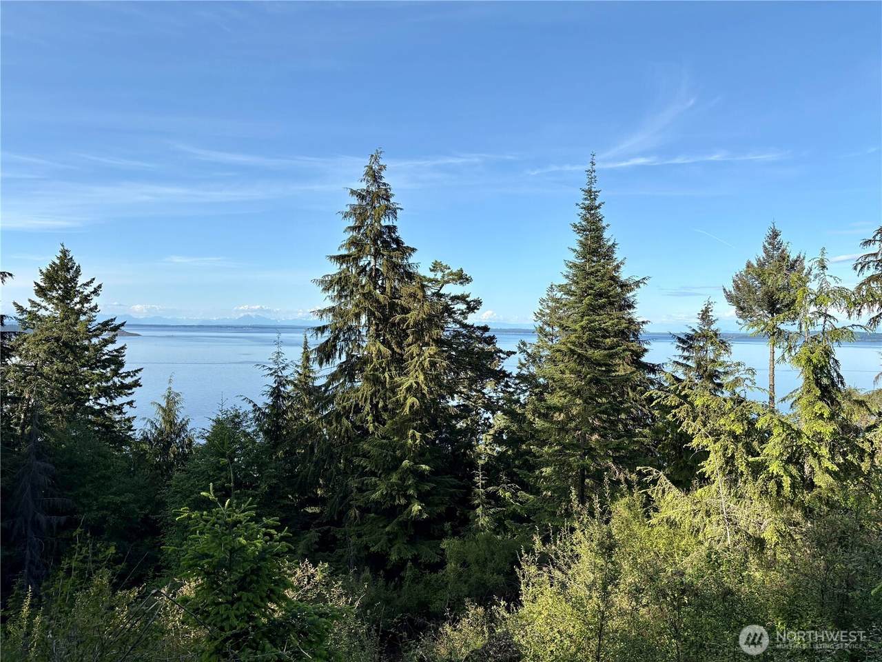 0 Raccoon Point Road - Photo 1