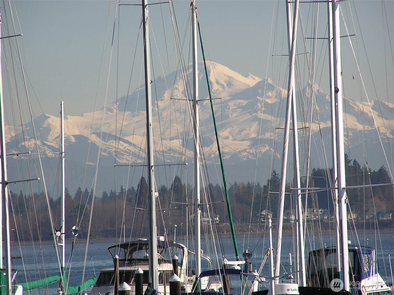9540 Semiahmoo Parkway - Photo 1