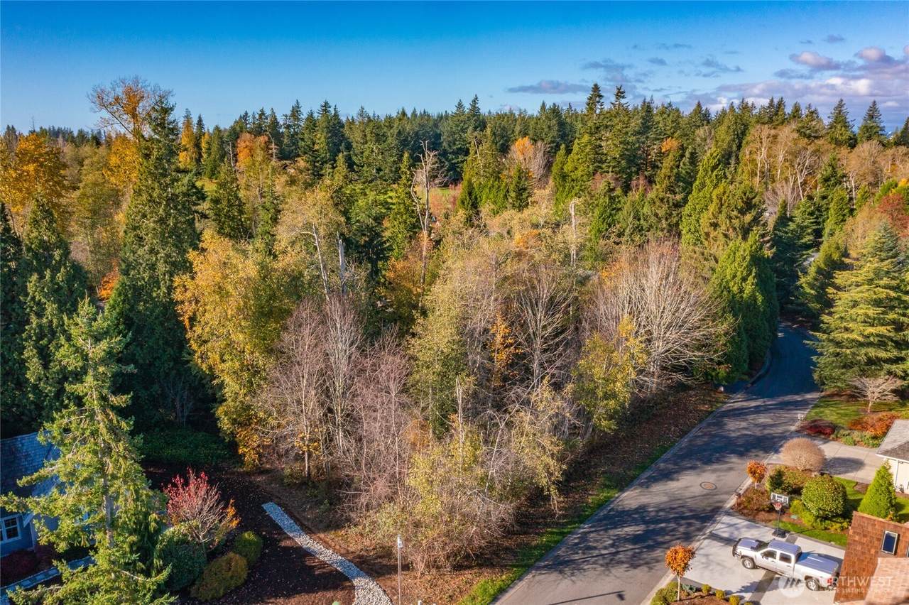 8725 Bufflehead Court - Photo 1