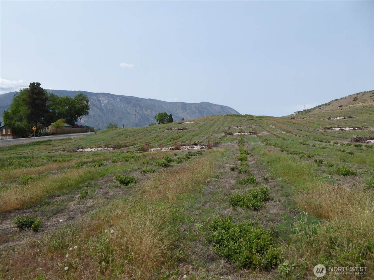 5 Roses View Lane - Photo 1