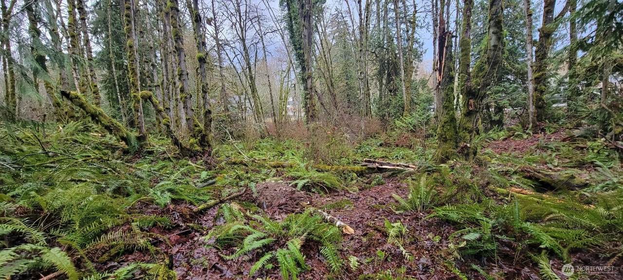 0 Nevada Ave & Michigan Street - Photo 1