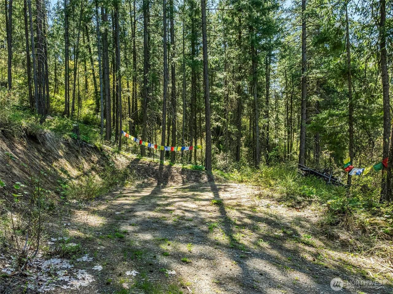 8325 Taber Road - Photo 1