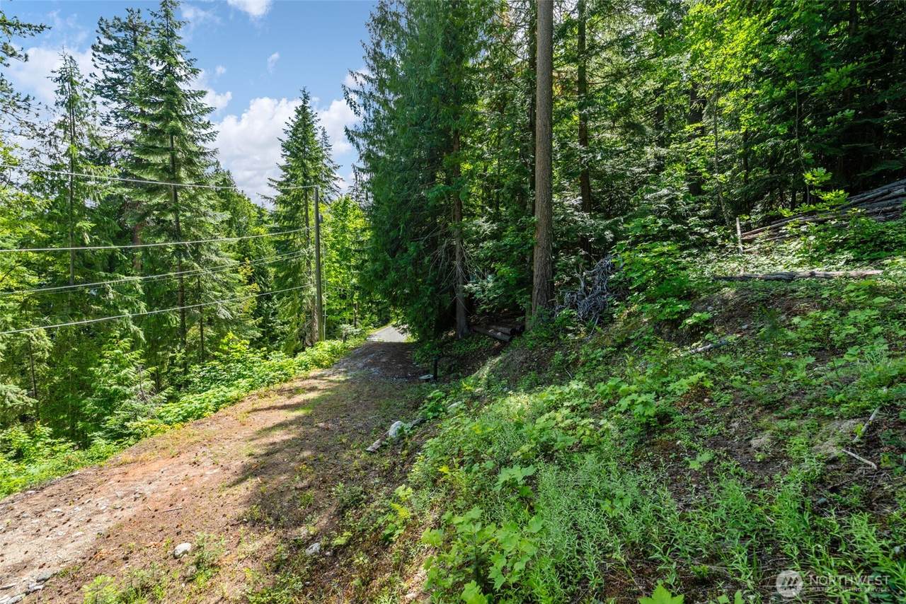 15889 Cedar Brae Road - Photo 1