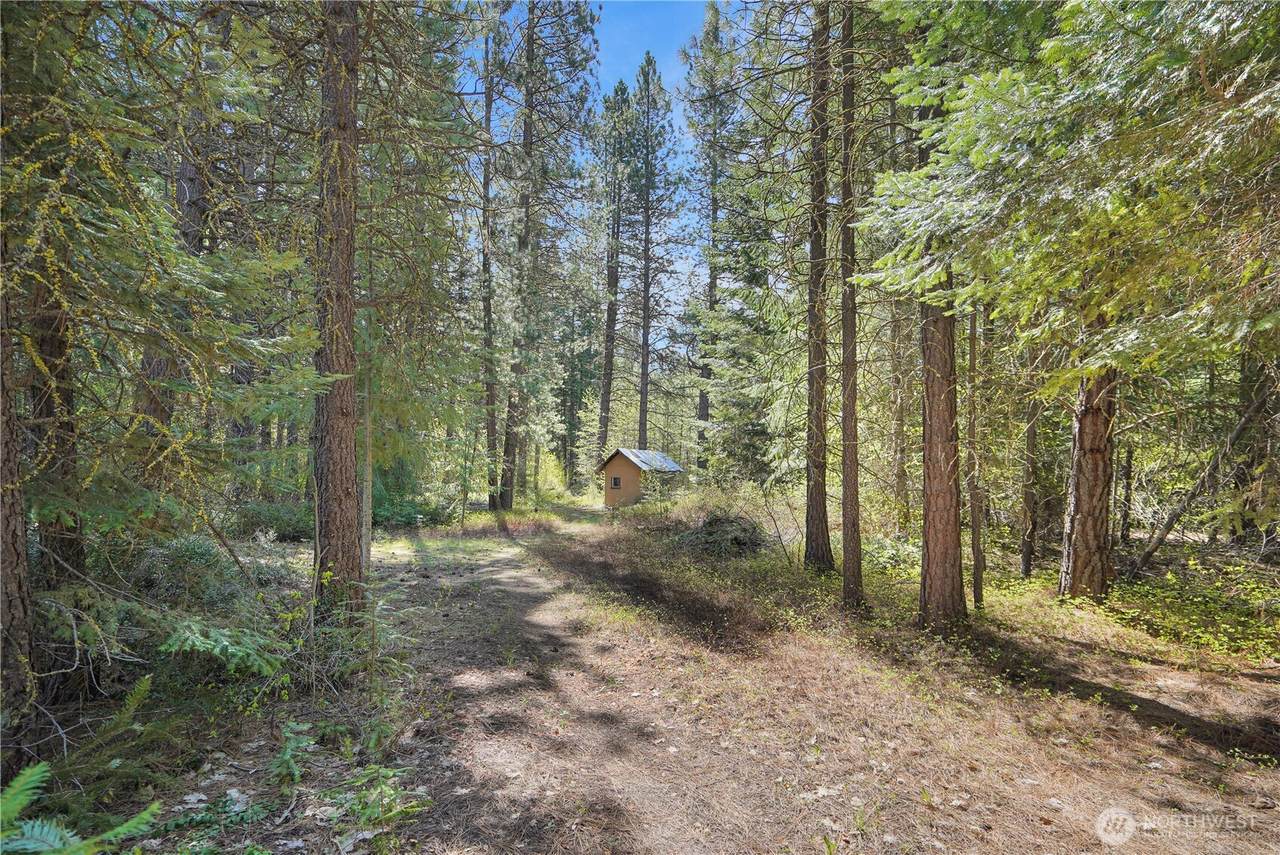 17265 Lake Julius Rd - Photo 1