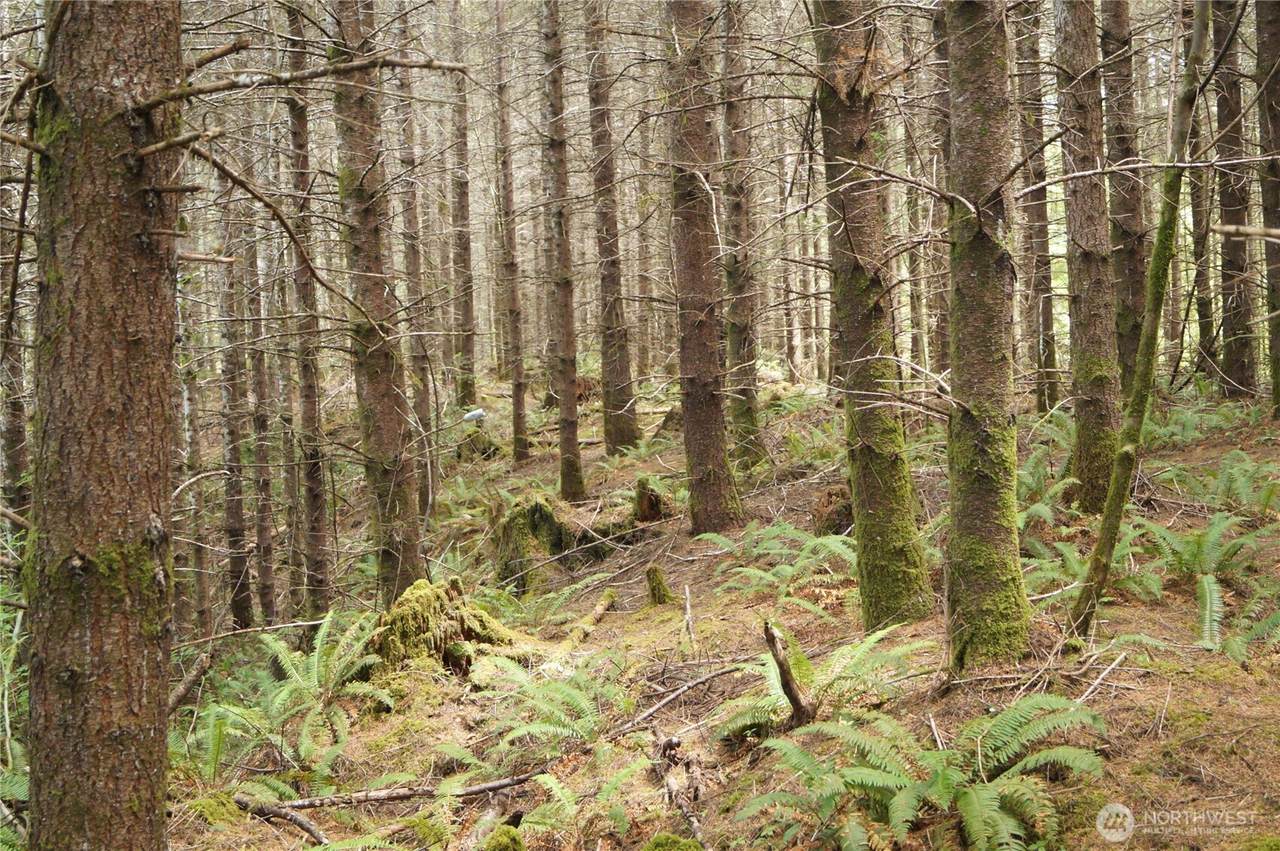 0 NKA Brooklyn Road - Photo 1