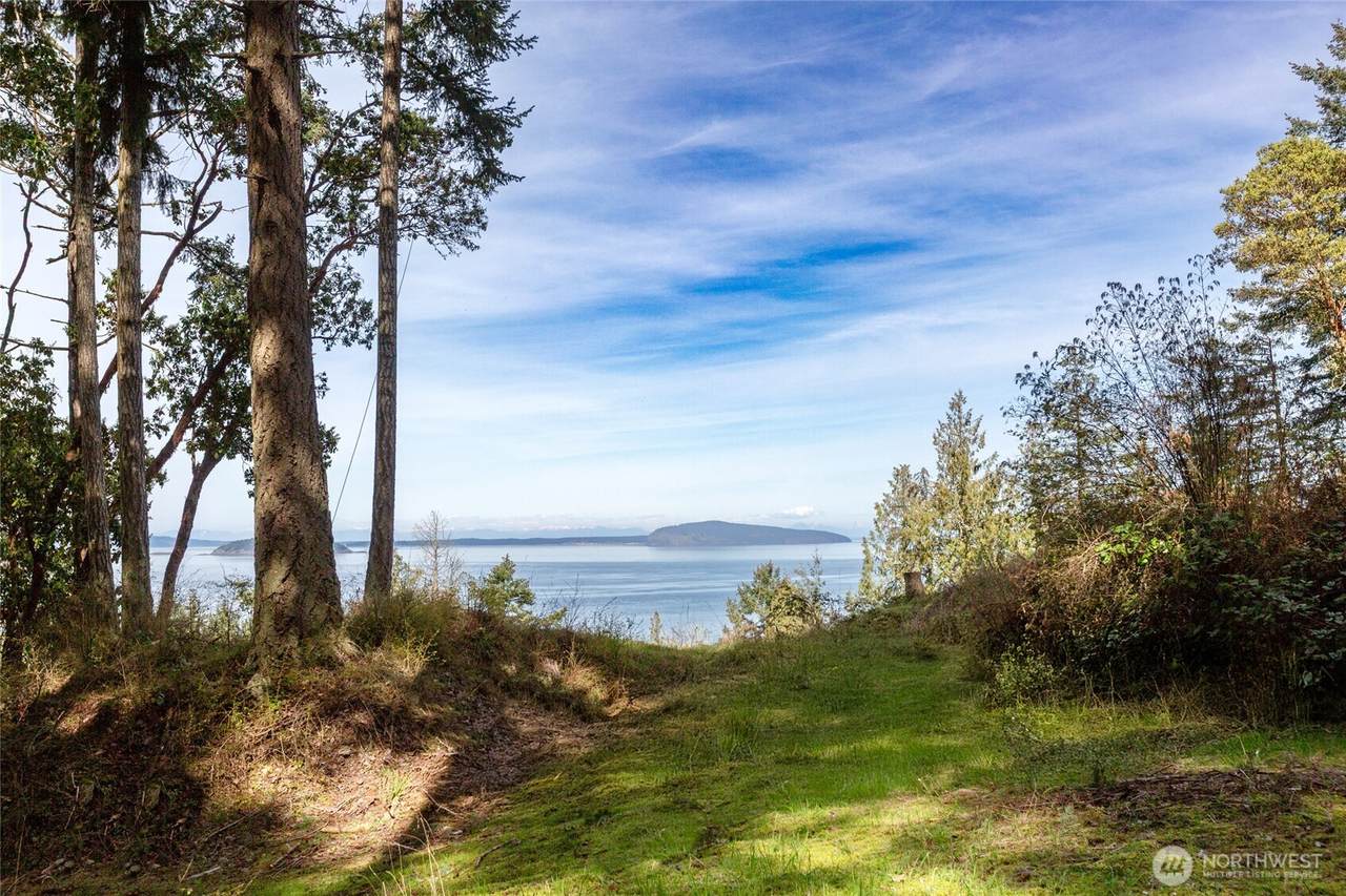87 Conifer Lane - Photo 1