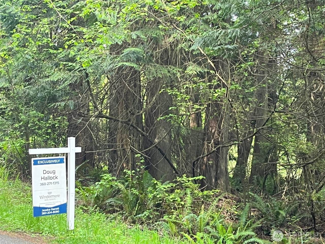 0 Hoffman Road - Photo 1