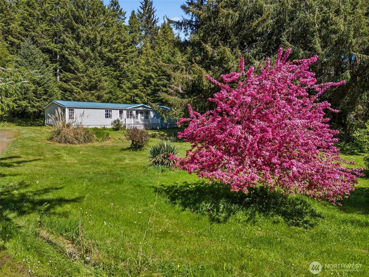 6933 State Route 101 - Photo 1