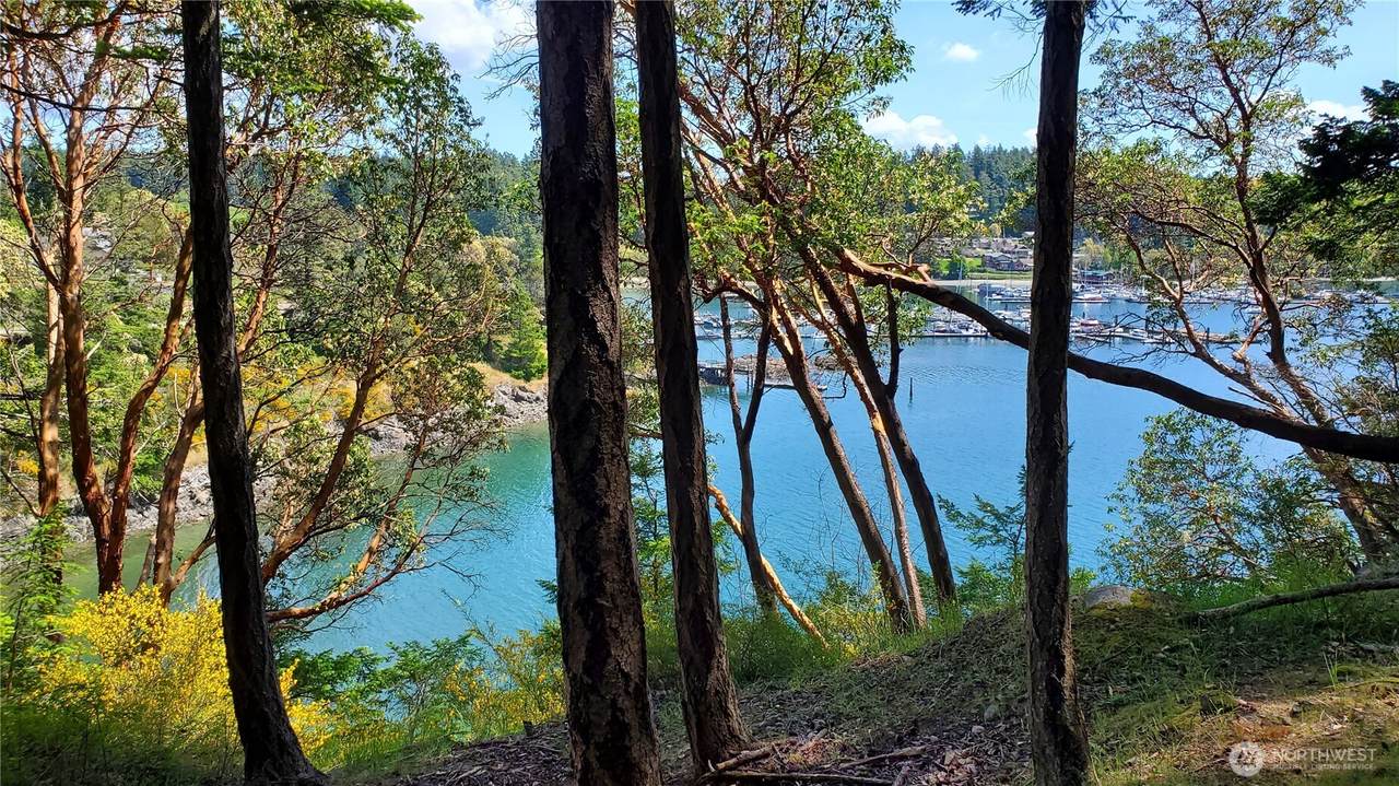 0 Lot 2 Harborview Lane - Photo 1