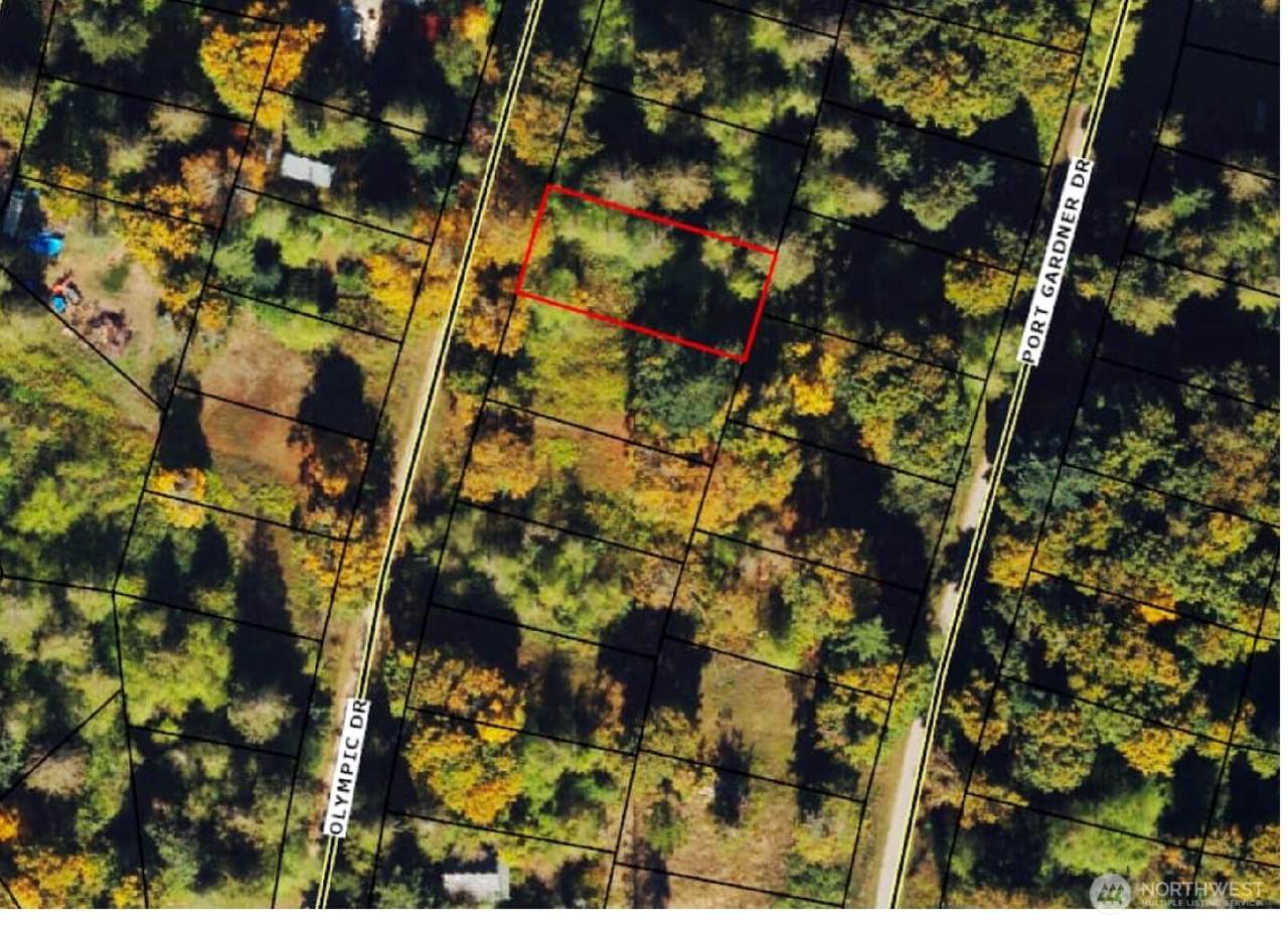 10 M Olympic Drive - Photo 1