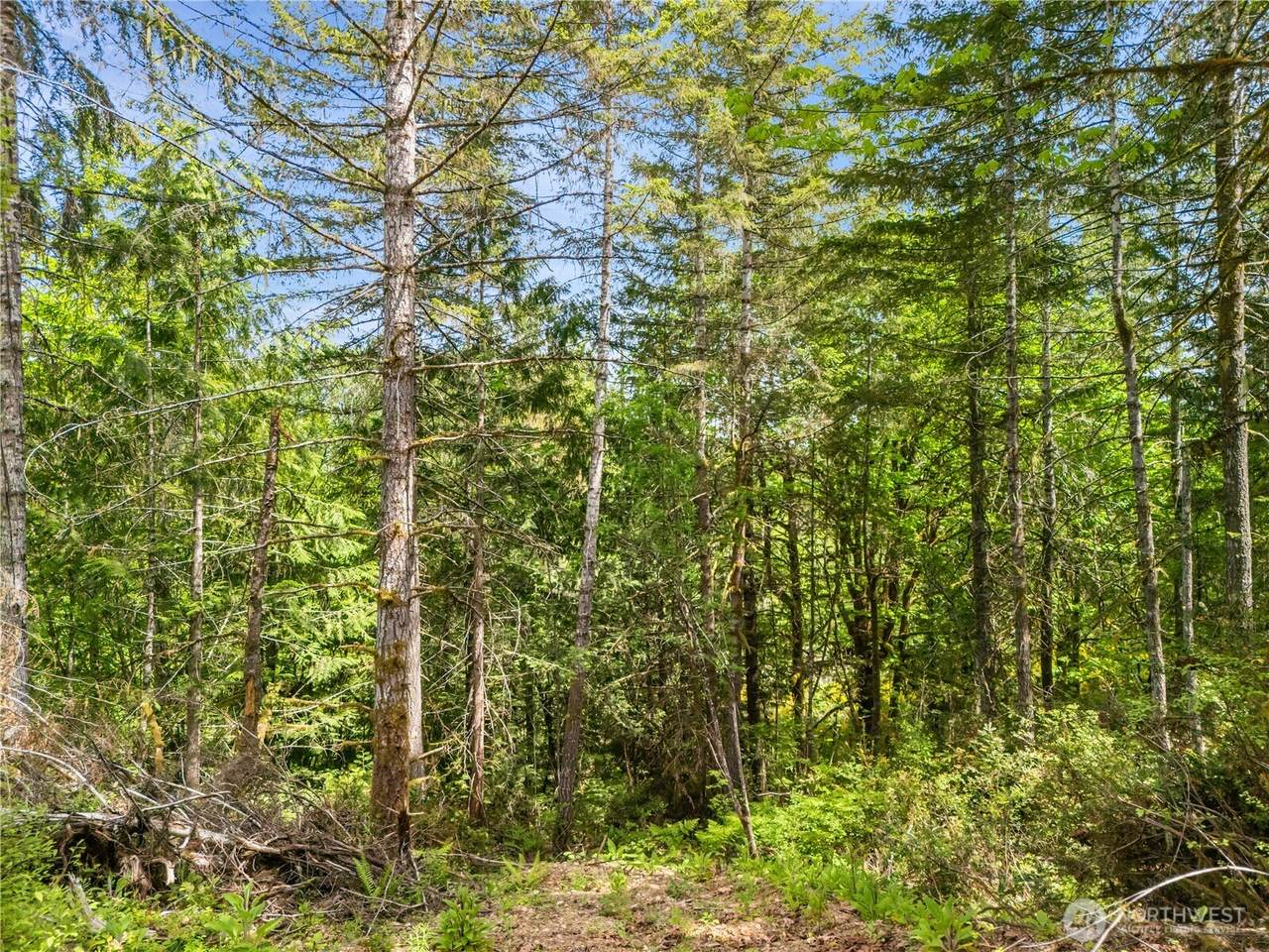 0 Gerbing View Drive - Photo 1
