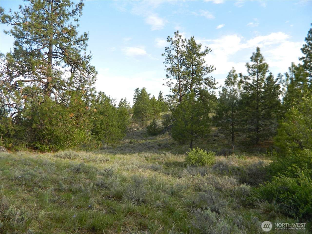 0 Tbd Rehmke Road - Photo 1