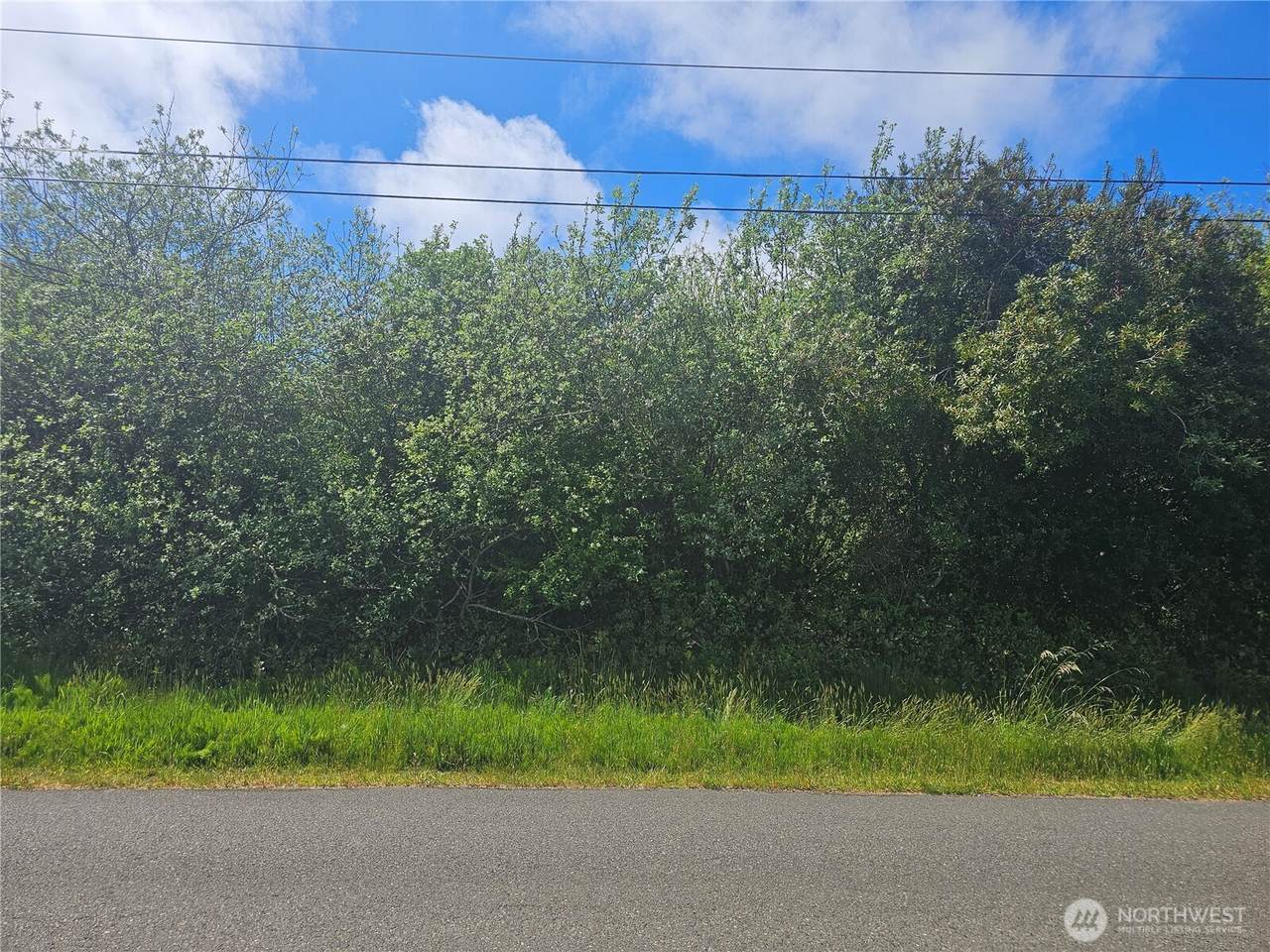 811 Minard Avenue - Photo 1