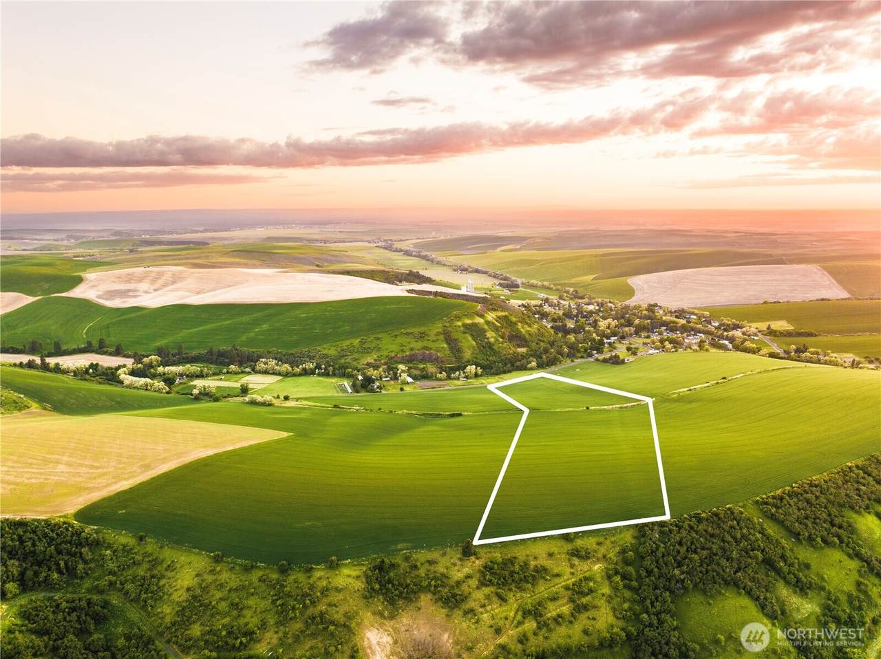 0 Lot 1 Biscuit Ridge Road - Photo 1