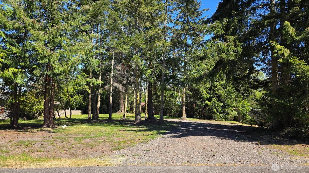 9999 Madrona Way - Photo 1