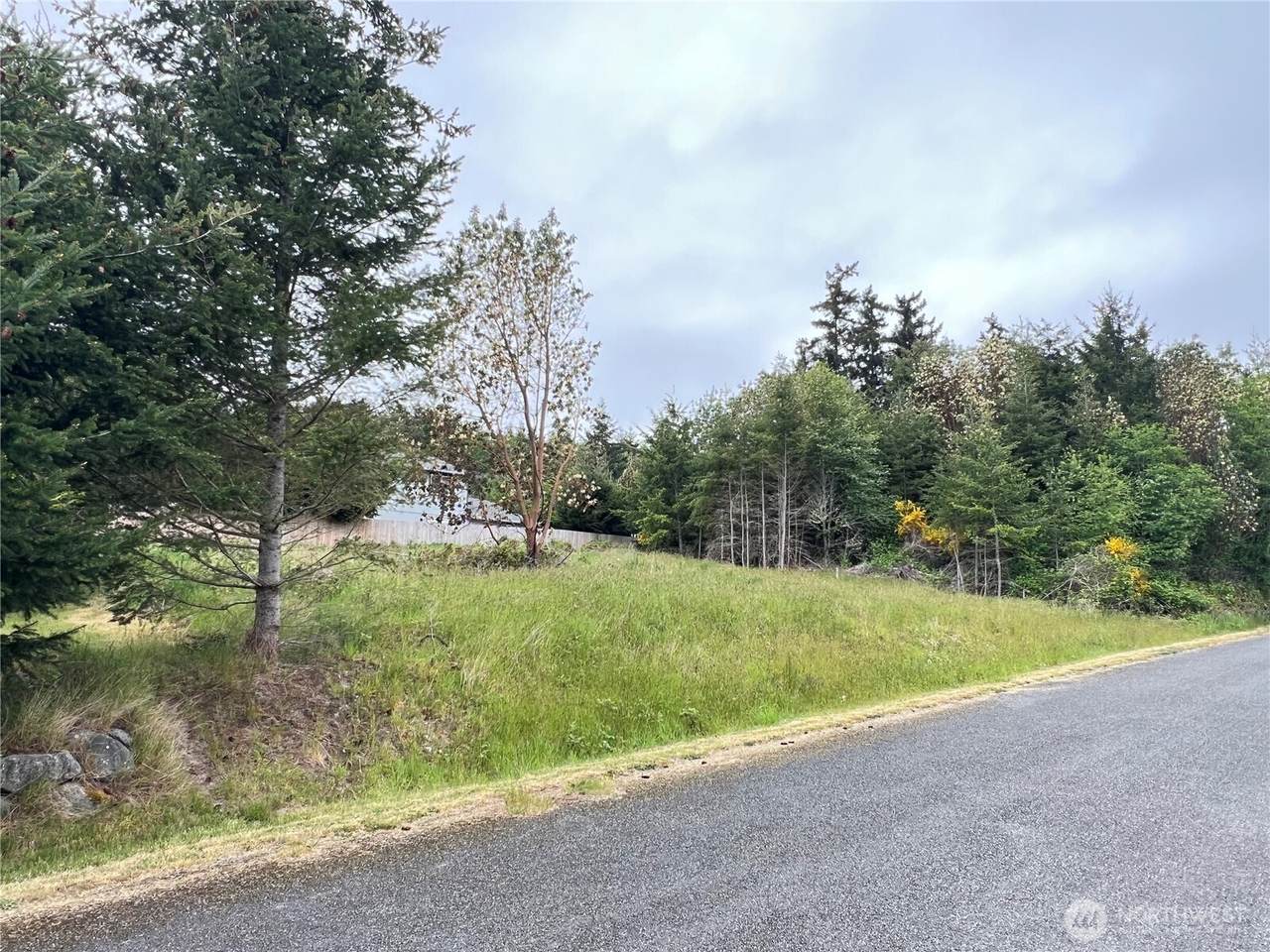 0 Andrew Avenue - Photo 1
