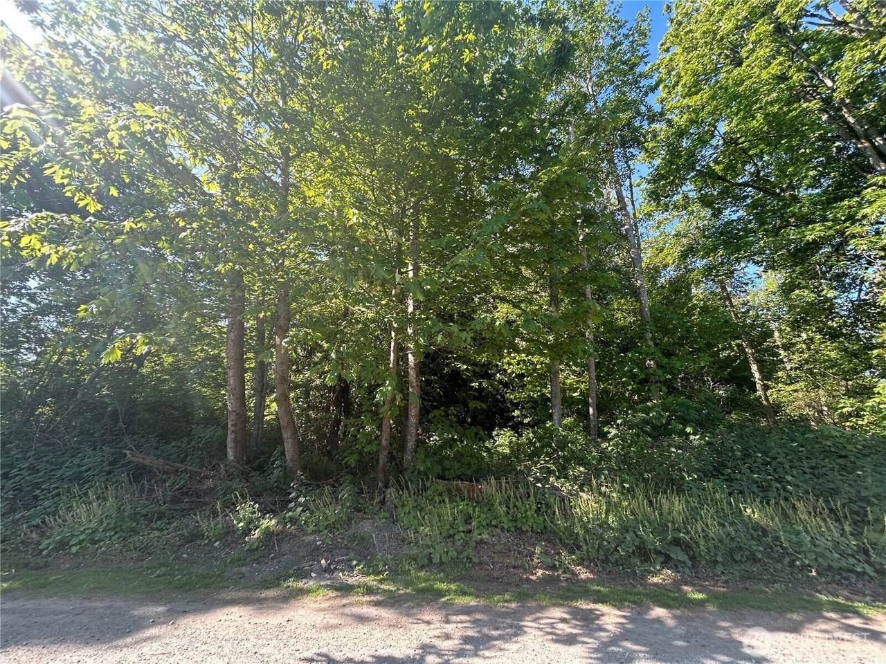 57 A Saratoga Drive - Photo 1
