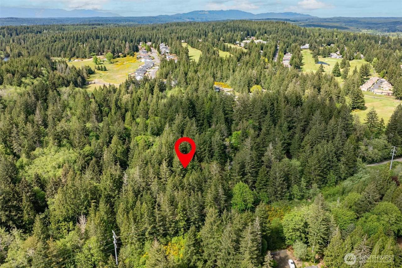 0 Tacoma Powerline Road - Photo 1