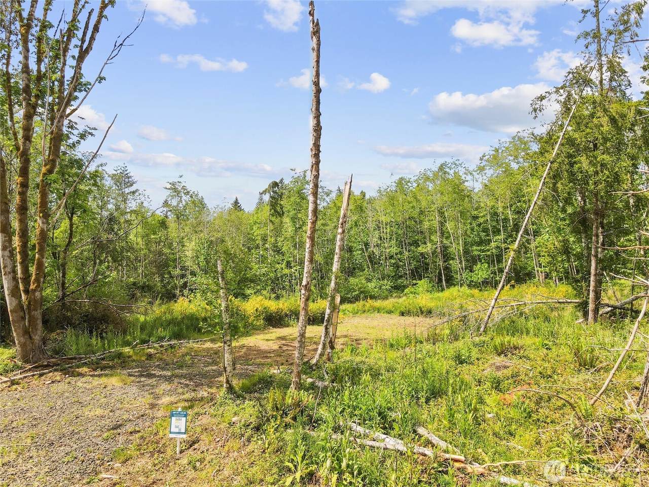 80 Cascara Cove Lane - Photo 1