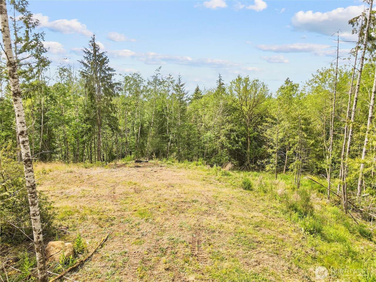 120 Cascara Cove Lane - Photo 1