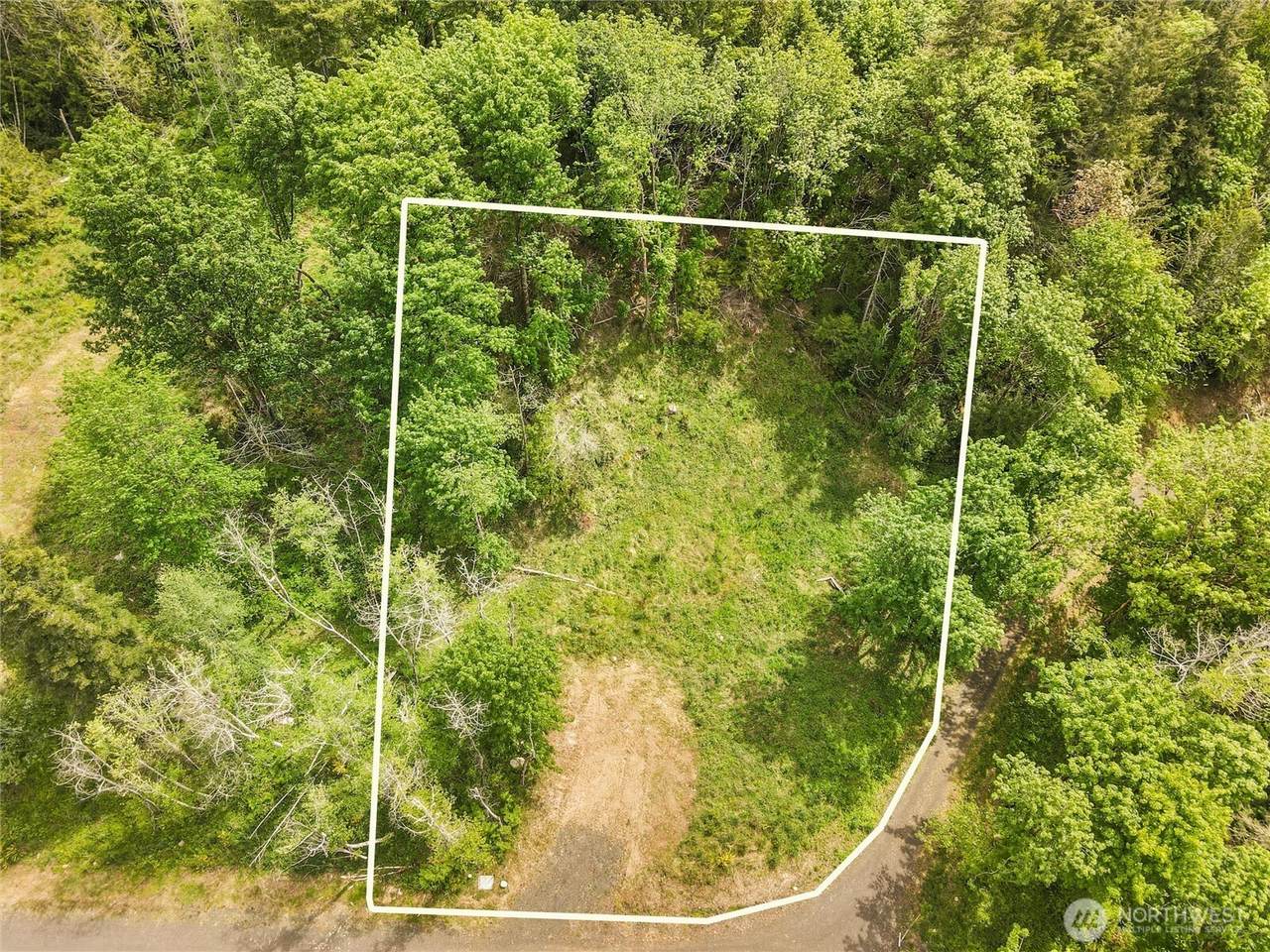 171 Cascara Cove Lane - Photo 1