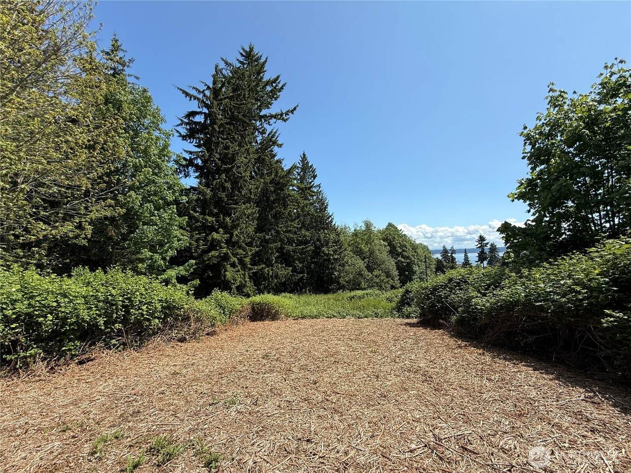 1215 East Camano Drive - Photo 1