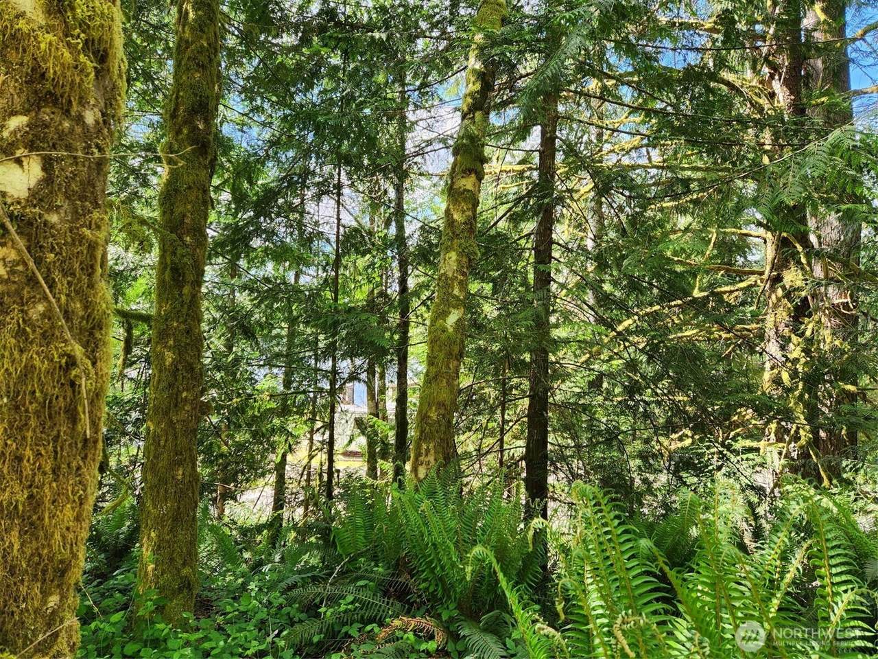 72 Lot Arrowhead Drive - Photo 1