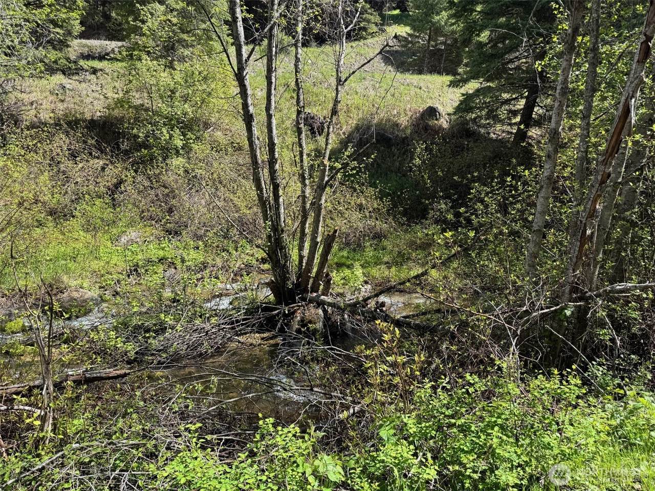 62 Cougar Creek Road - Photo 1