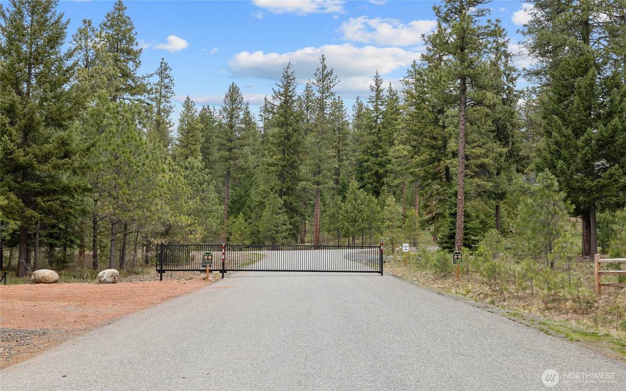 0 XXX Mountain Ridge Road - Photo 1