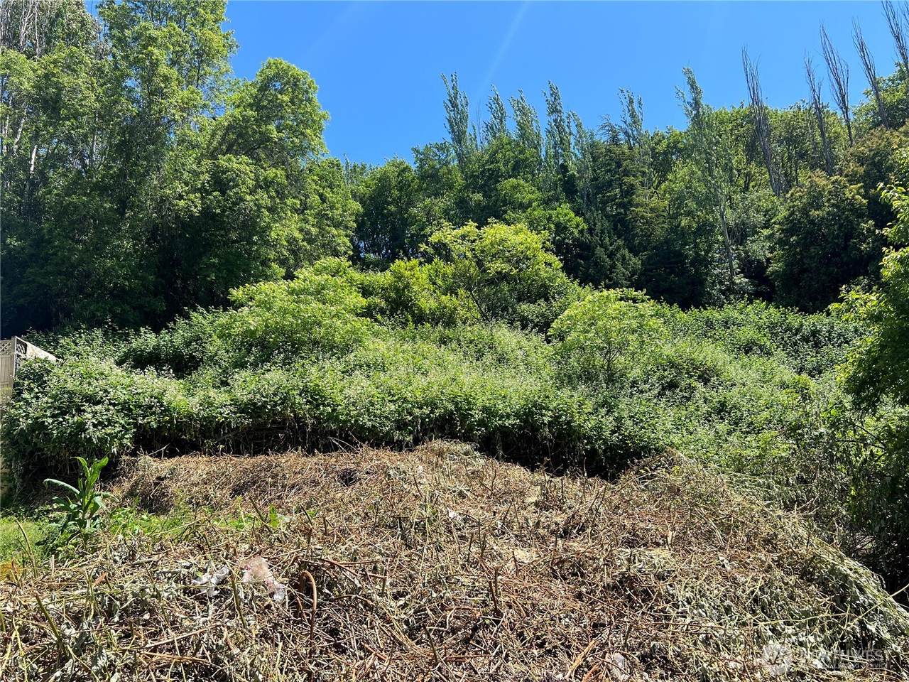 79 XX Military Road - Photo 1