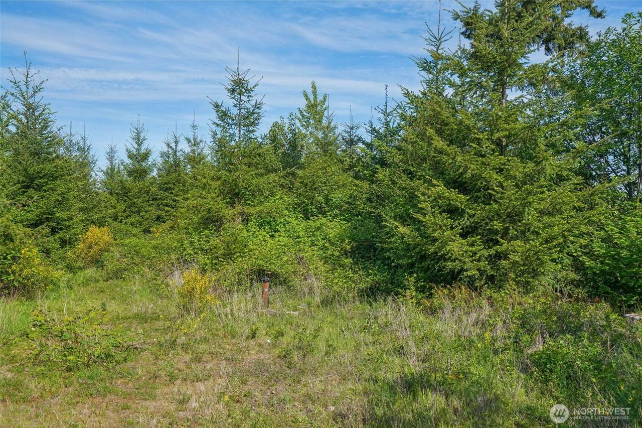 143 Bootjack Lane - Photo 1