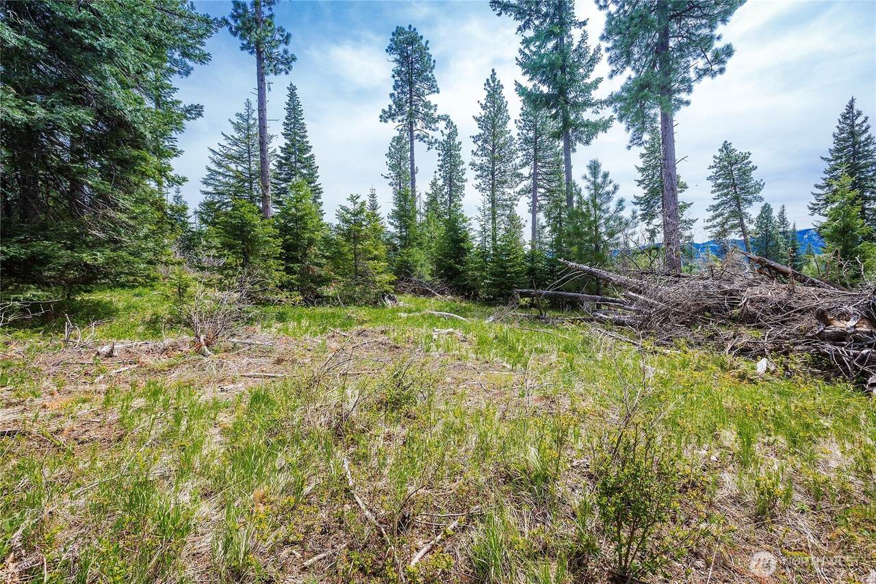 0 Lot J R&R Heights Drive - Photo 1