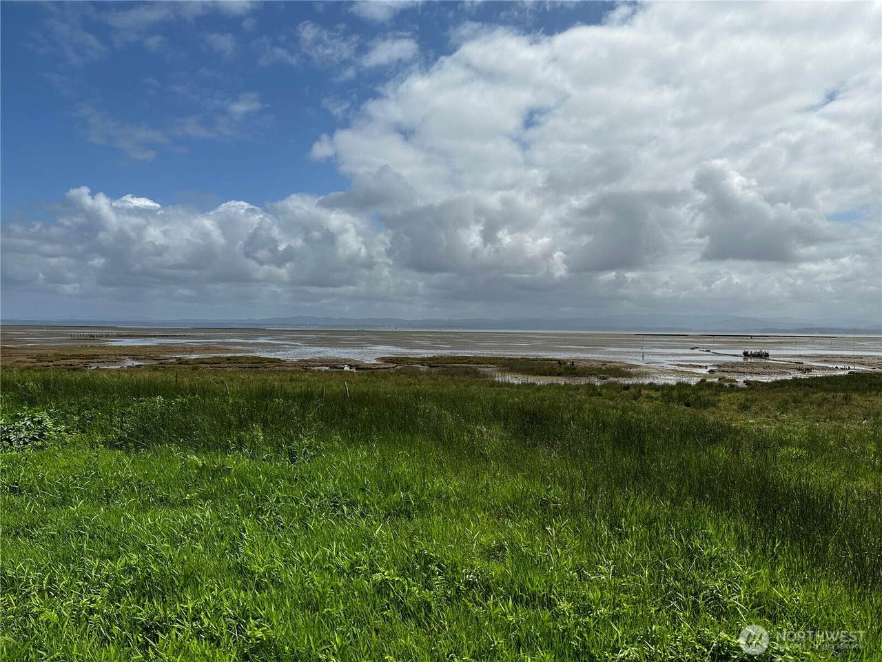 31010 Sandridge Road - Photo 1