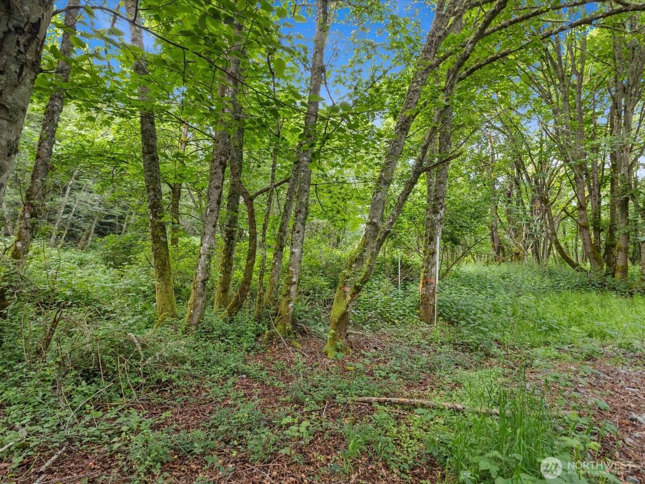 4061 Eagle Ridge Drive - Photo 1
