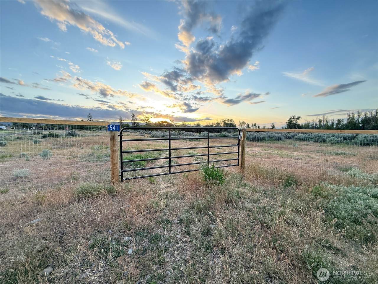 541 Penny Lane - Photo 1