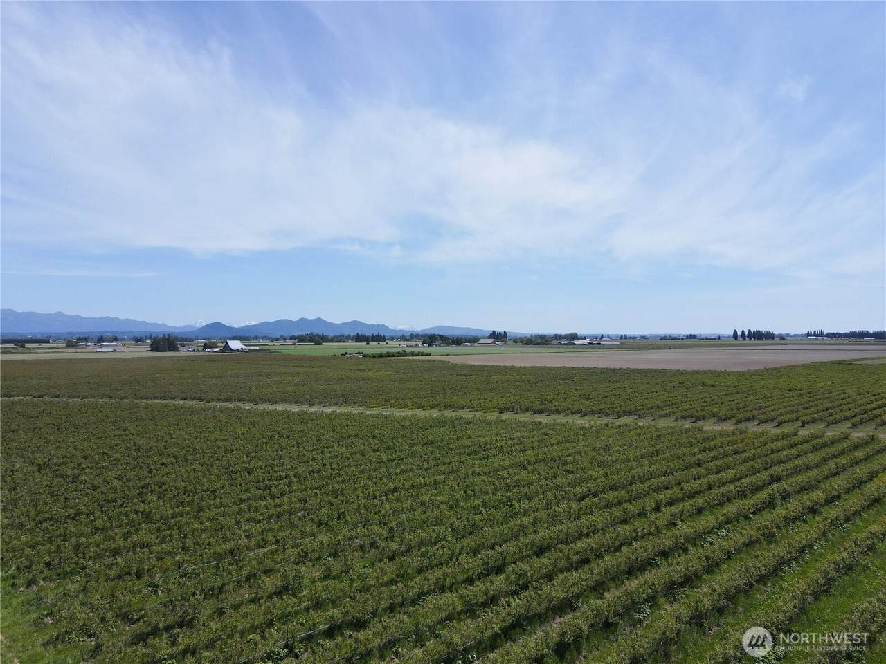 0 Young Road - Photo 1