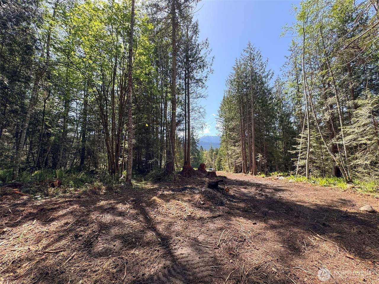 9999 Lostwood Lane - Photo 1