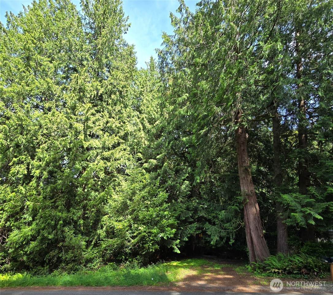 0 University Point Circle - Photo 1