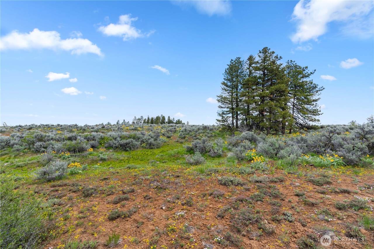 207 Falcon Ridge Road - Photo 1